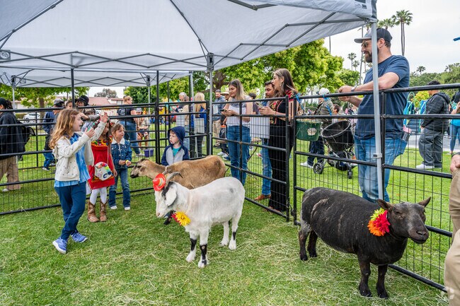 Kids will enjoy the petting zoo during the Cinco De Mayo Fiesta near Southwest San Clemente.