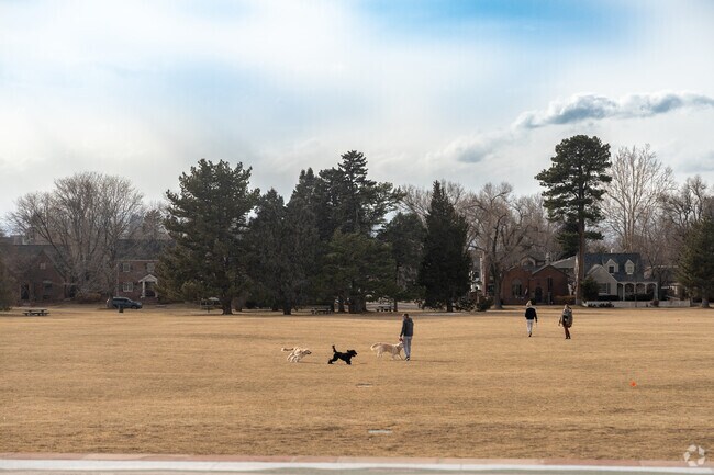 Cranmer Park is popular for dog walks with wide lawns and views.