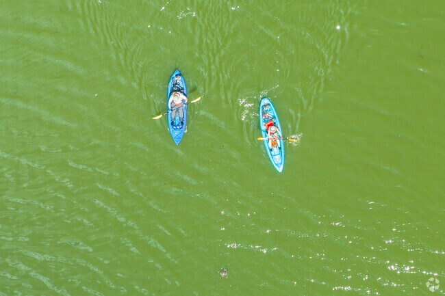 Kayak in Owen Brown and you just may see a turtle.