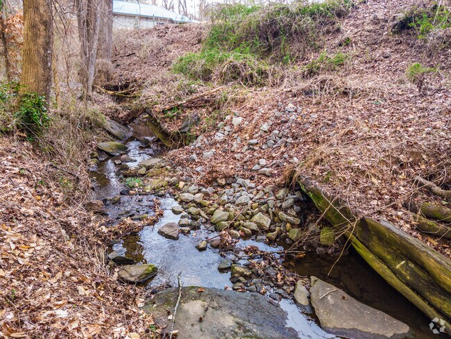 Bubbling brook at Keswick Park Exchange Rail Trail