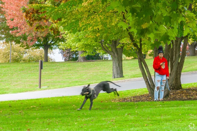 Bowen Park in Waukegan is a perfect place to take your dog for a romp.