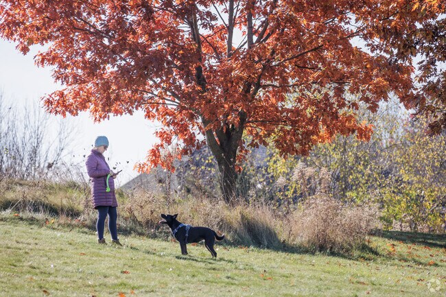 Chicory Meadow Park near Fitchburg is a great place to bring your dog.