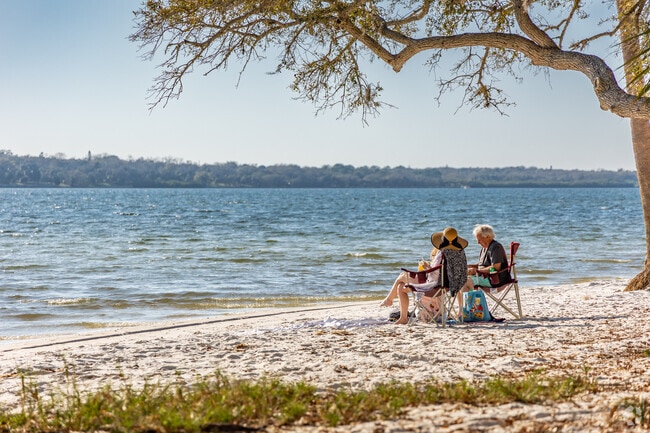 Relax and take in the sun at Mobbly Beach in Oldsmar.