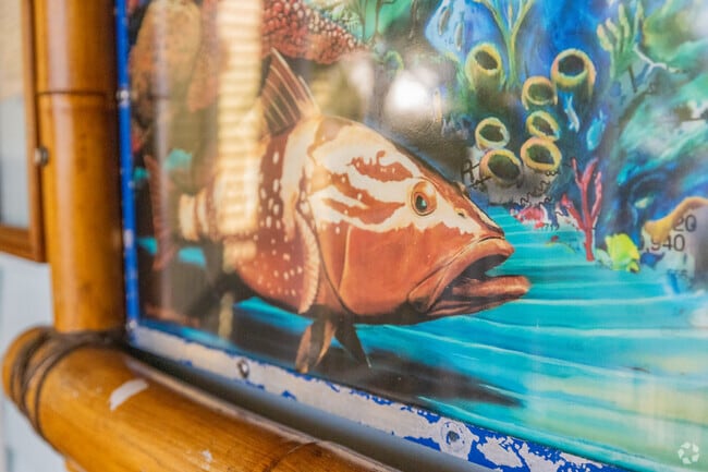 Living in Palm Beach Shores, FL means living close to the marine life.