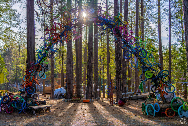 Take a walk through the decorated forrest front of the Foothill Art Society.