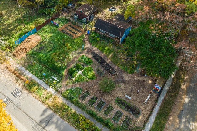 A community garden nourishes Miller Grove residents in Detroit.
