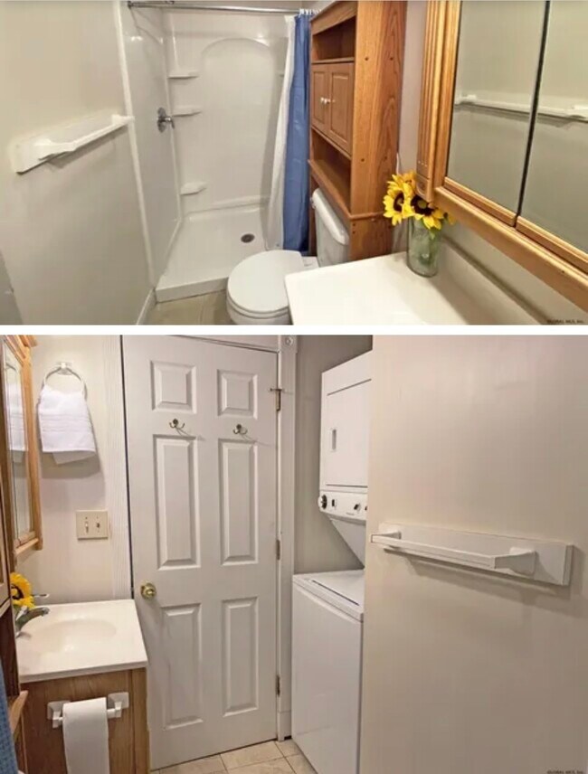 10 River St unit 2, Schenectady, NY 12305 - photo 4