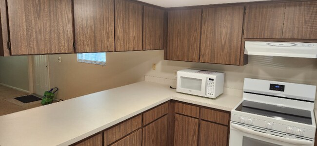 1400 Tarpon Woods Blvd unit H1, Palm Harbor, FL 34685 - photo 5