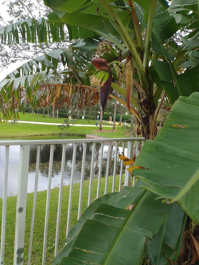 4015 Banyan Trails Dr, Coconut Creek, FL 33073 - photo 3