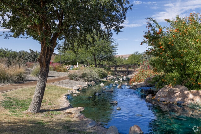 The scenic and tranquil Pirate Park is located in The Bridges at Gilbert.