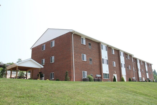 Craigmont Manor, Craigsville, VA 24430 - photo 4