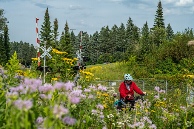Lakes, trains, and wild flowers make for a scenic bike ride through Congdon Park.