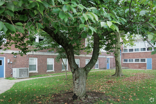 72% of students  at Radburn Elementary School are proficient in reading.