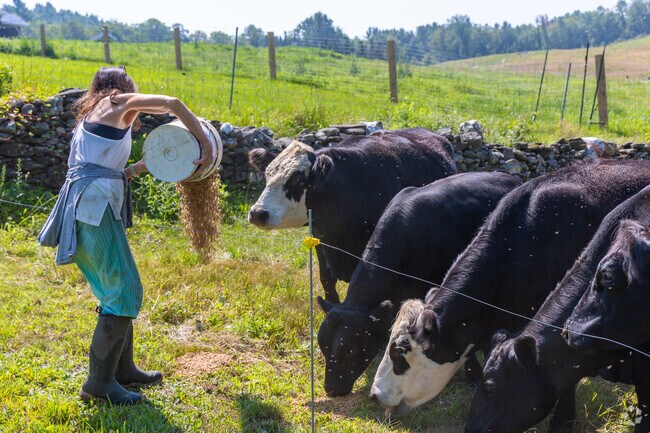 Family-owned farms in Royalton supply fresh dairy and pasture-raised meats.