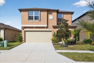 17893 Cloudless Bliss Dr, Lutz, FL 33558