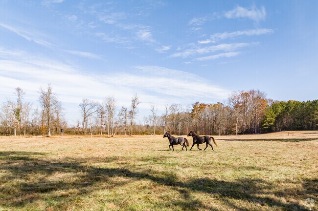 Horses have adequate space on the farms in Cartwright to run free.