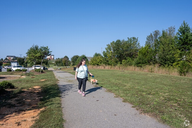 Jamison Park is a popular place to walk your dog for Mt Tabor residents.