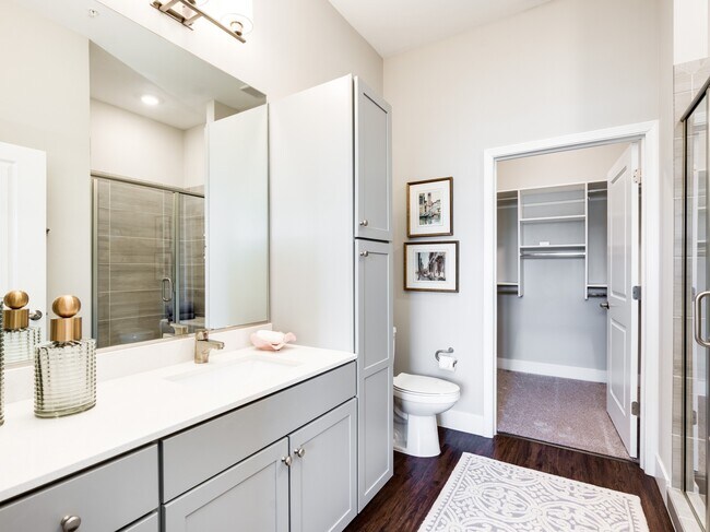 Bathroom and Walk in Closet