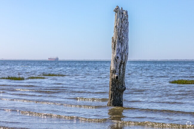 Logs of driftwood stand along the shores of Bottle Beach State Park.