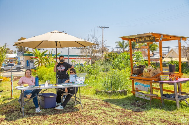 Mount Hope Community Garden provides a place to get fresh and local produce in the neighborhood.