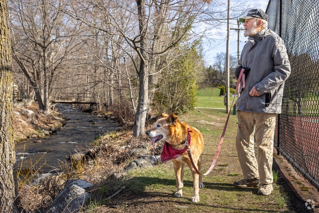 Dog walkers and racquet sport enthusiasts will become very familiar with the excellent facilities at Branchville Recreation Park.