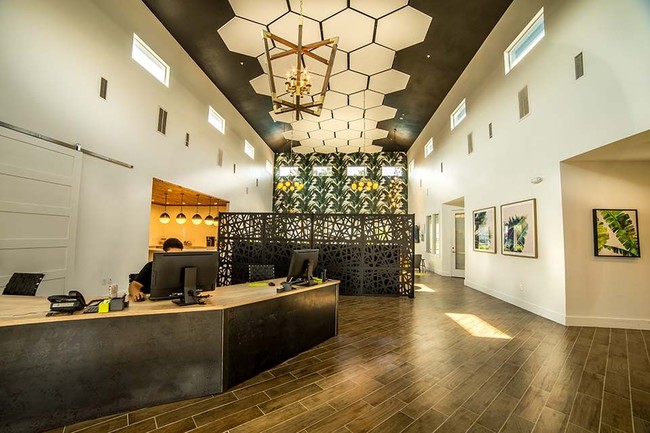 Cabana Beach Gainesville, Gainesville, FL 32607 - photo 2