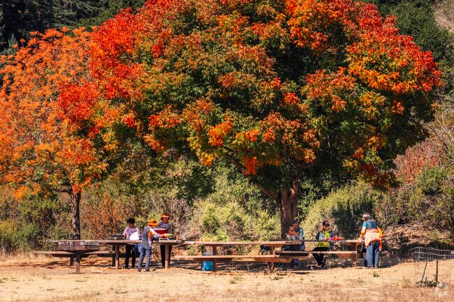 Hike and picnic at Reinhardt Redwood Regional Park next to Del Rey.