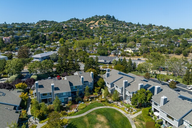 Greenbrae / Larkspur Landing in the shadow of Mt. Tamalpais.