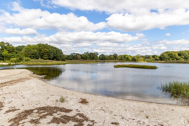 Allins Cove Conservation Area in the Annawomscutt neighborhood has a modest beach and wildlife.