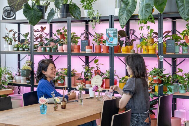 Stop into Bloomsgiving for a cup of coffee amongst the selection of plants.