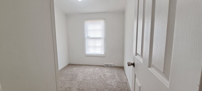 207 Princeton Rd, Princeton, NC 27569 - photo 4