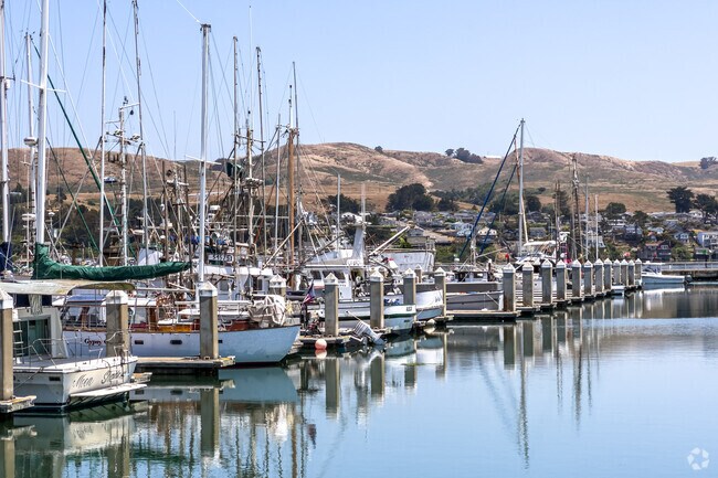 Dock your sailboat at Bodega Harbor in Bodega Bay.