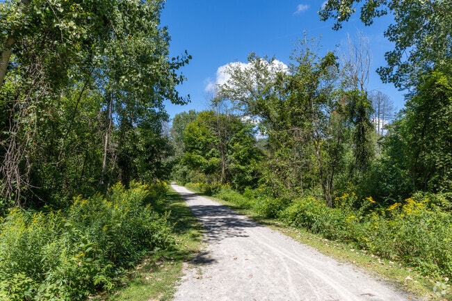 Wadhams to Avoca Trail