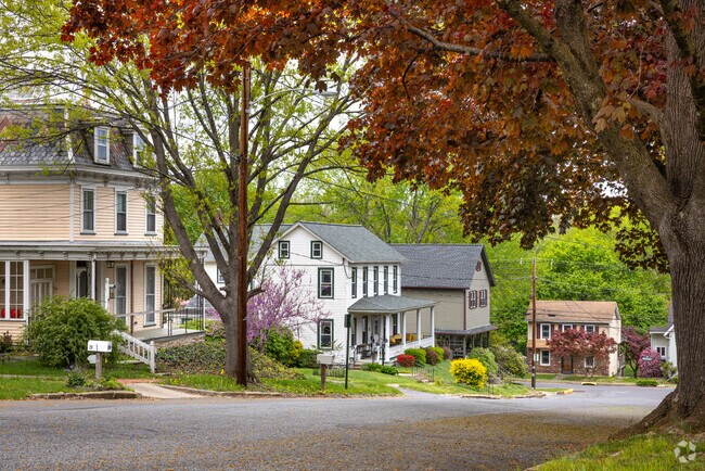Shaded sidewalks connect neat rows of single-family homes in Bloomsbury.