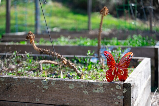 Residents of Coral Hills decorate their community gardens