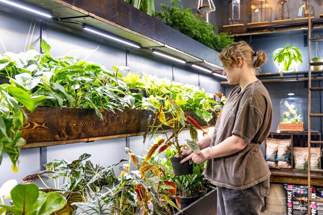 Kinghorn Gardens is the place to go to add some greenery to your living space.