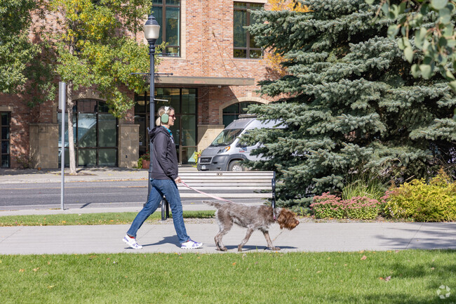 A woman walks her dog through beautiful downtown Bozeman near King Arthur Park.