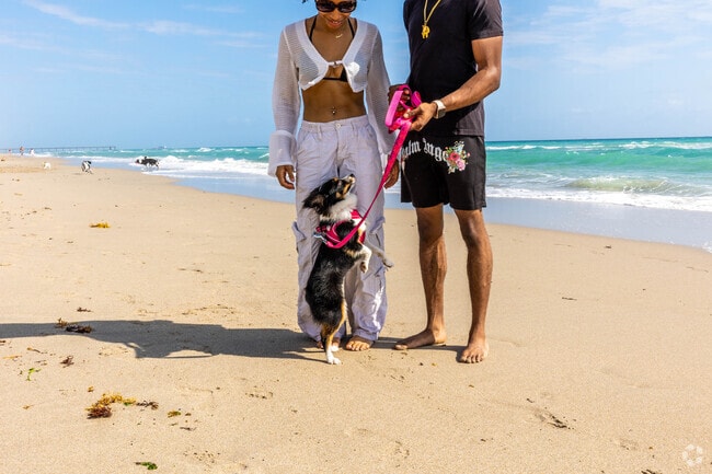 Dog lovers frequent the nearby Dog Beach, just a short drive from Royal Poinciana.