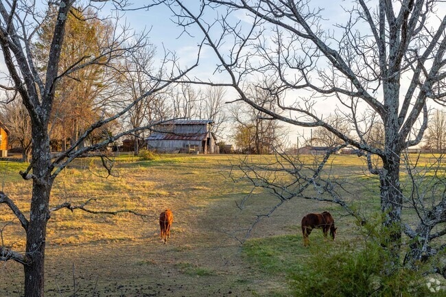 Many homeowners in Cross Plains have farms with horses.