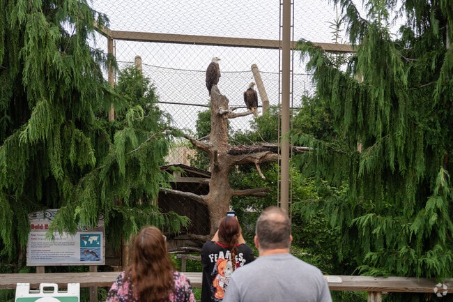 The Buffalo Zoo near Cold Springs has over 300 different animals and was founded in 1875.