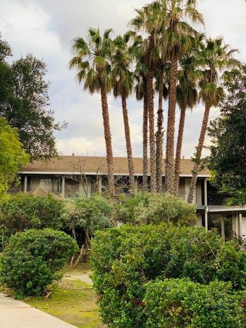 1158 Sunnyvale Saratoga Rd, Sunnyvale, CA 94087