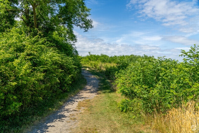 Eastham residents enjoy hiking around Fort Hill's 1 mile trail loop.