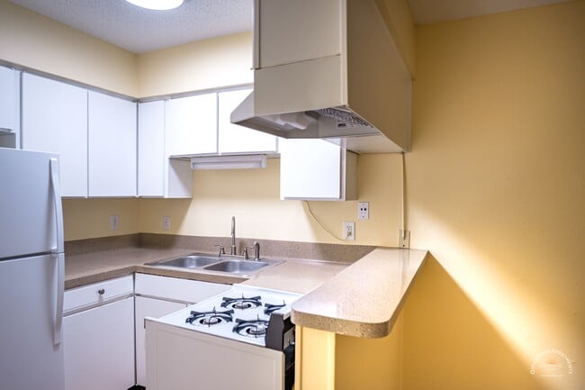 Montage Apartments, Austin, TX 78705 - photo 2