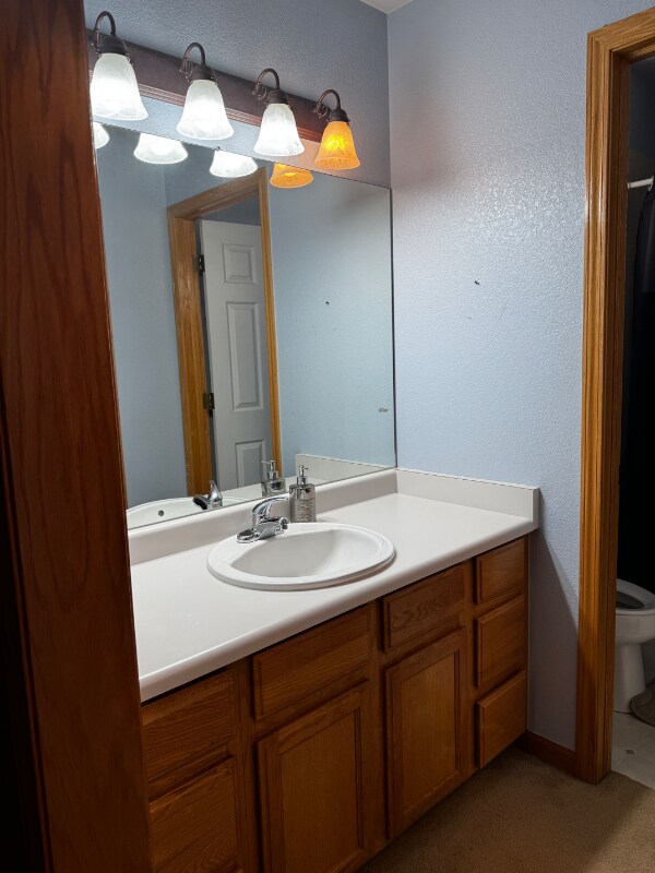1017 Basin Ct, Windsor, CO 80550 - photo 7