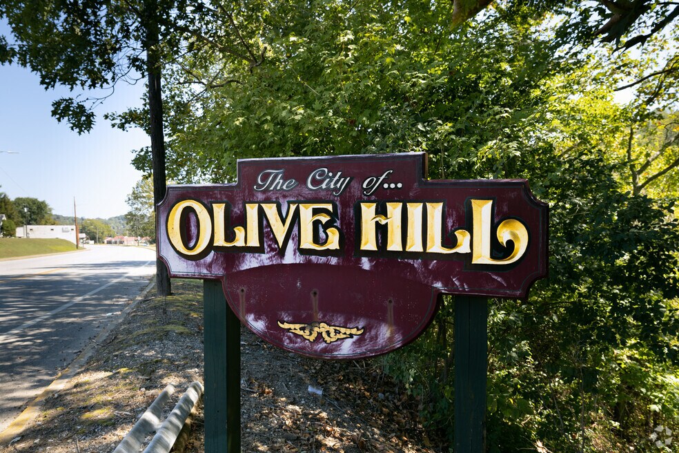 Olive Hill