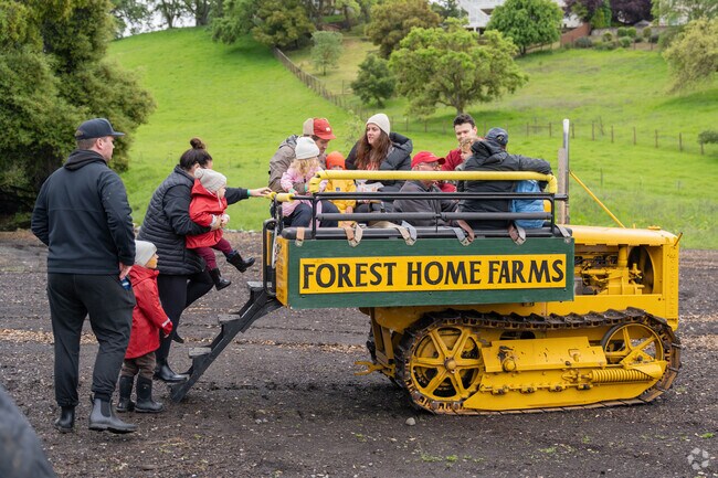 The Forest Home Farms Crawler is a popular ride during the sheep shearing event in San Ramon.