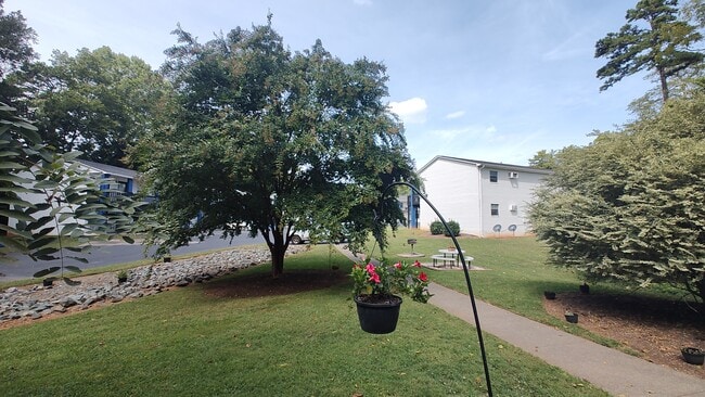 Picnic & Grilling Area