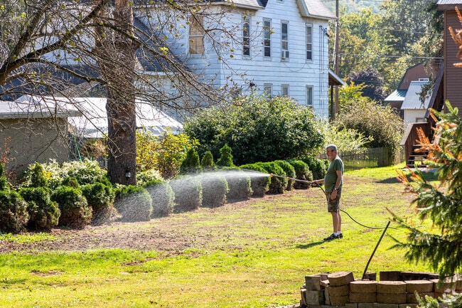 Home gardens in Lewis showcase seasonal blooms and greenery.