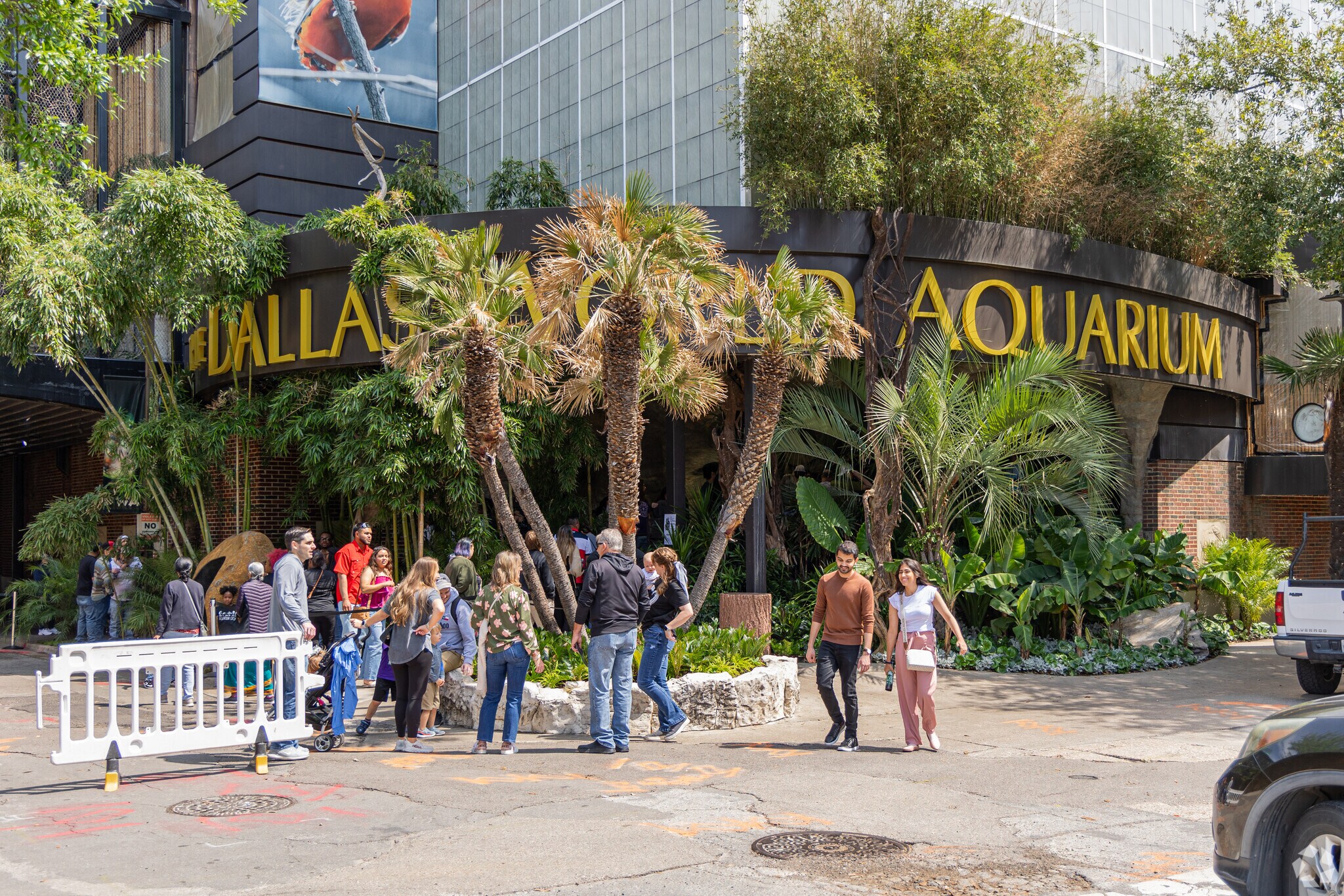 Dive into an underwater wonderland at the Dallas World Aquarium in Reunion District.