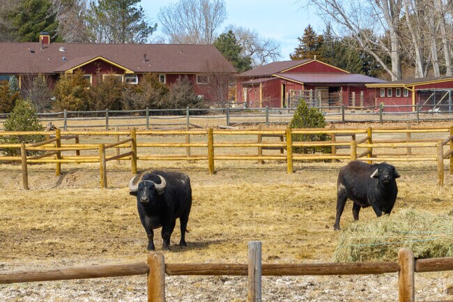 Timnath, CO blends open range heritage with modern suburban growth.